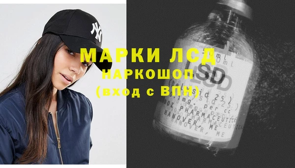 стаф Баксан
